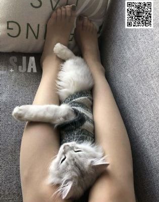 血腥列车