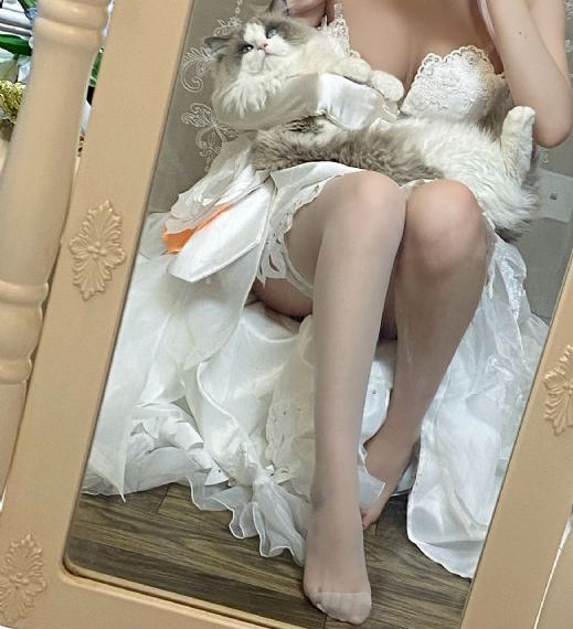 春去春又回 电视剧