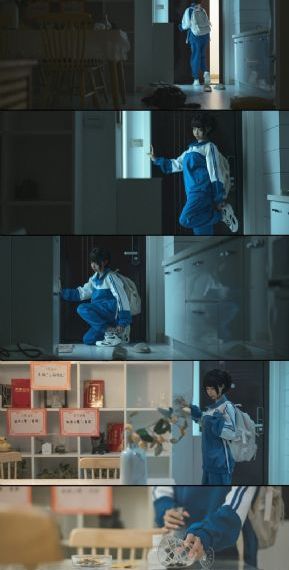 猫咪最新域名