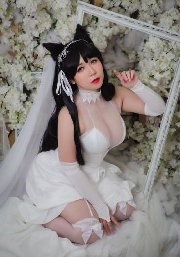 珠帘玉幕电视剧在线观看免费
