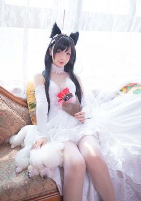沧海游龙
