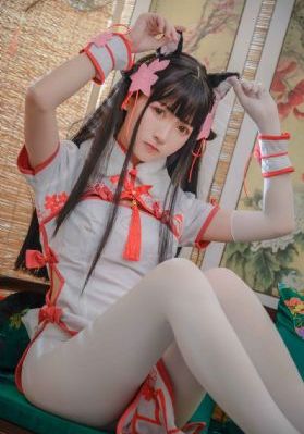 奔奔者
